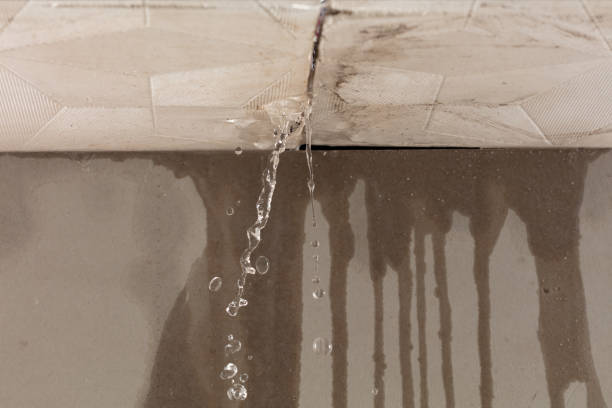 Professional Structural Drying technician working in Mentone, IN